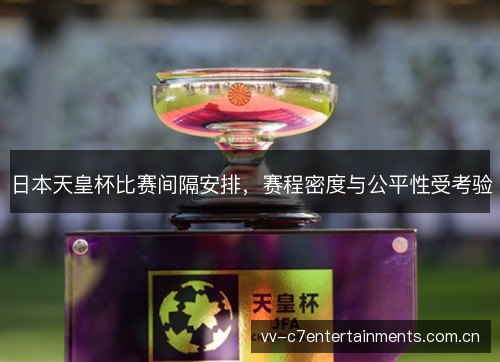 日本天皇杯比赛间隔安排,赛程密度与公平性受考验 日本天皇杯比赛间隔安排,赛程密度与公平性受考验